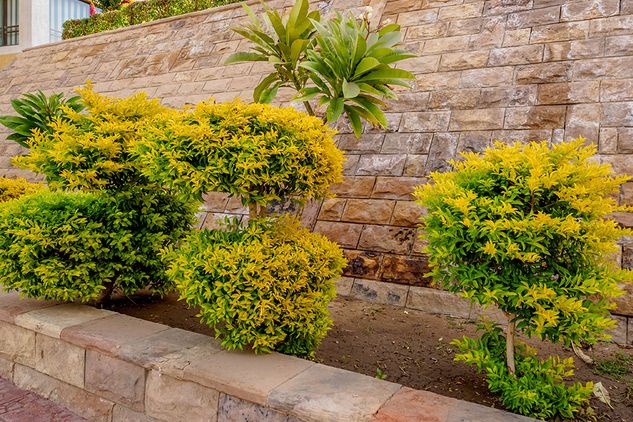 Bespoke garden space created for one of our customers